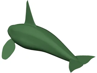 Whale Killer Male 3D Model preview