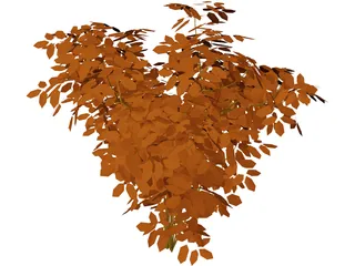 Cherry Tree 3D Model preview