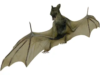 Bat 3D Model preview