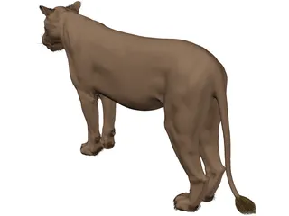 Lioness 3D Model preview