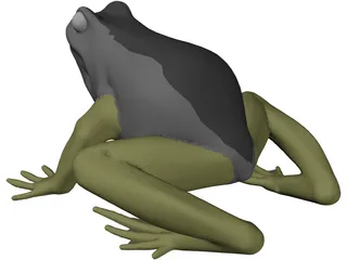 Frog 3D Model preview