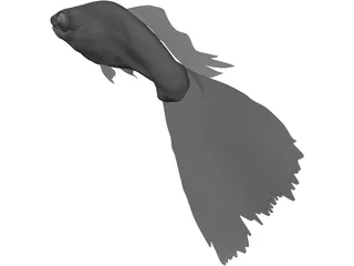 Guppy 3D Model preview