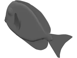 Amblyrhyncotes 3D Model preview