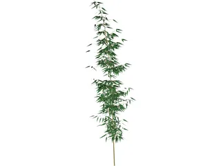 Bamboa 3D Model preview