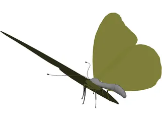 Butterfly 3D Model preview