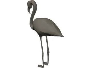 Flamingo 3D Model preview