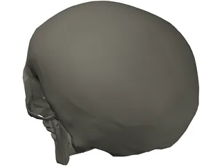 Skull 3D Model preview