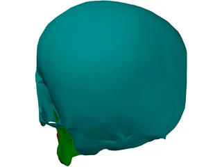 Skull Male 3D Model preview
