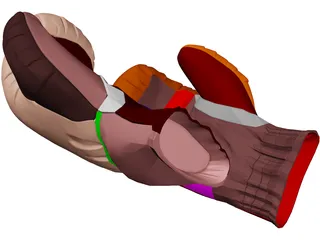 Boxing Gloves 3D Model preview