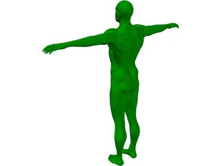 Swimmer 3D Model preview