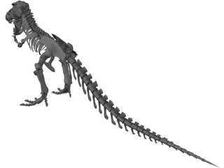 Tyrannosaurus Rex Skeleton 3D Model preview