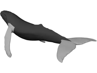 Whale Humpback 3D Model preview