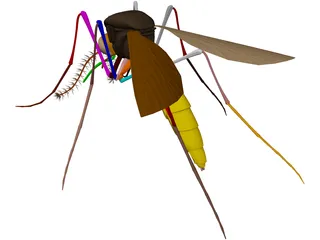 Mosquito 3D Model preview