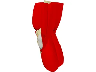 Knee 3D Model preview