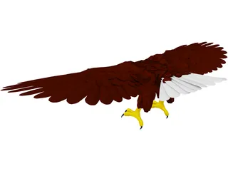 Eagle 3D Model preview