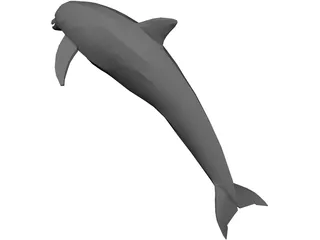 Dolphin 3D Model preview
