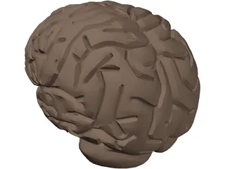 Brain 3D Model preview