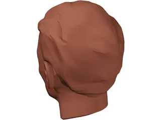 Face Muscles and Head 3D Model preview
