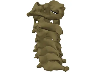 Vertebrae Cervical 3D Model preview