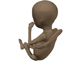 Fetus 3D Model preview