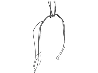Veins and Arteries Upper 3D Model preview
