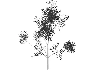 White Ash 3D Model preview