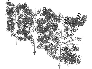 Hedge 3D Model preview