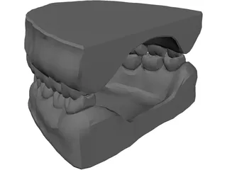 Teeth and Gums 3D Model preview