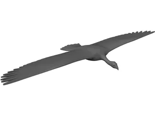 Vulture 3D Model preview