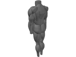 Muscles Body 3D Model preview