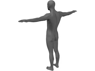 Human Body Male 3D Model preview