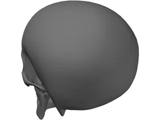 Skull 3D Model preview