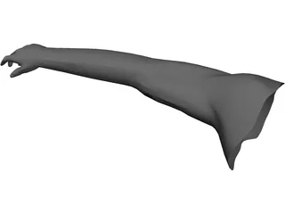 Arm Male 3D Model preview
