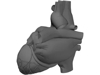 Heart 3D Model preview