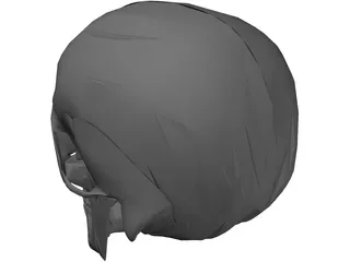 Skull 3D Model preview