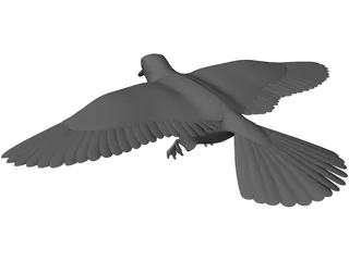 Dove 3D Model preview