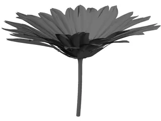 Daisy 3D Model preview