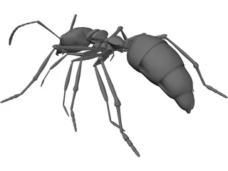 Ant 3D Model preview