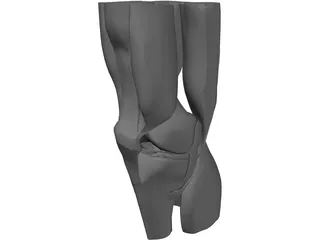 Knee 3D Model preview