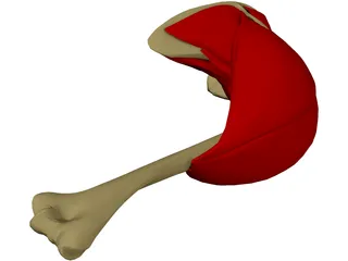 Shoulder 3D Model preview