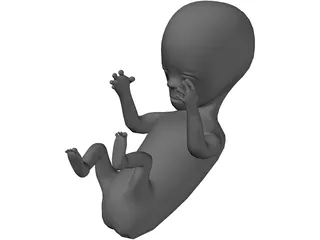 Baby Fetus Infant 3D Model preview