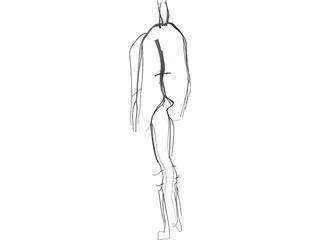 Circulatory System 3D Model preview