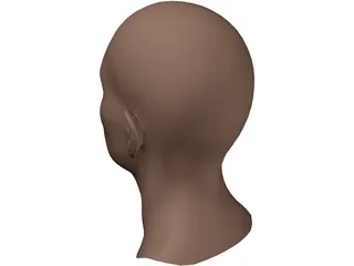Head Male 3D Model preview