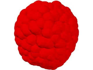 Raspberry 3D Model preview