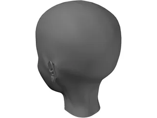 Human Head 3D Model preview