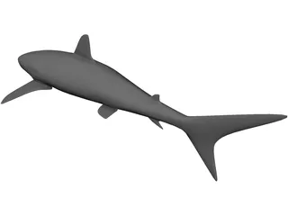 Shark 3D Model preview