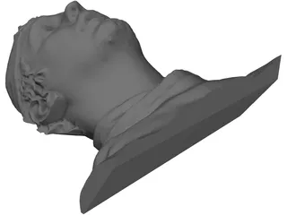 Face Human Digitalized 3D Model preview