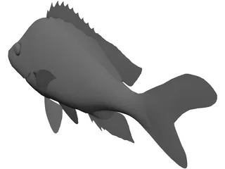 John Dory Type Fish 3D Model preview