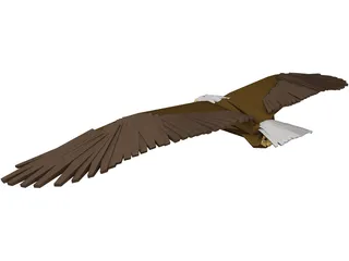 Bald Eagle 3D Model preview