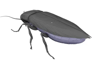 Firebeetle 3D Model preview